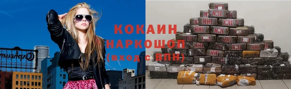 соль ск Михайлов