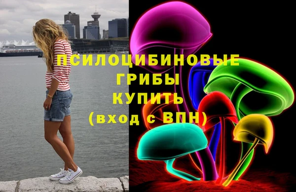соль ск Михайлов