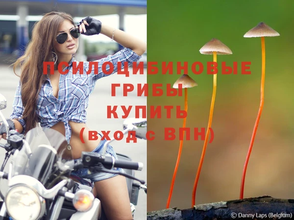 соль ск Михайлов