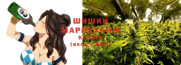 соль ск Михайлов