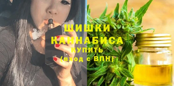 соль ск Михайлов