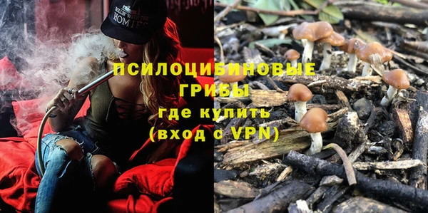 соль ск Михайлов