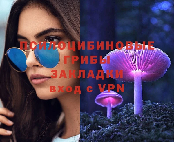 соль ск Михайлов